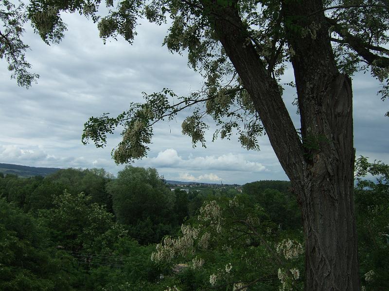 2010-05- (111).JPG